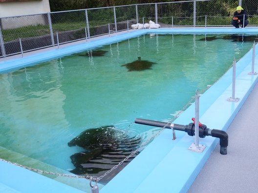 むろと廃校水族館