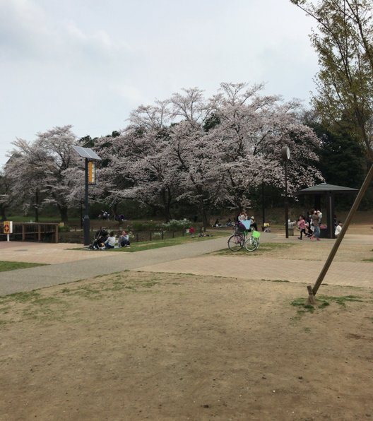 黒沢池近隣公園