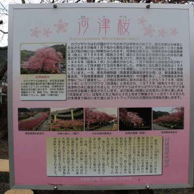 峰温泉大噴湯公園