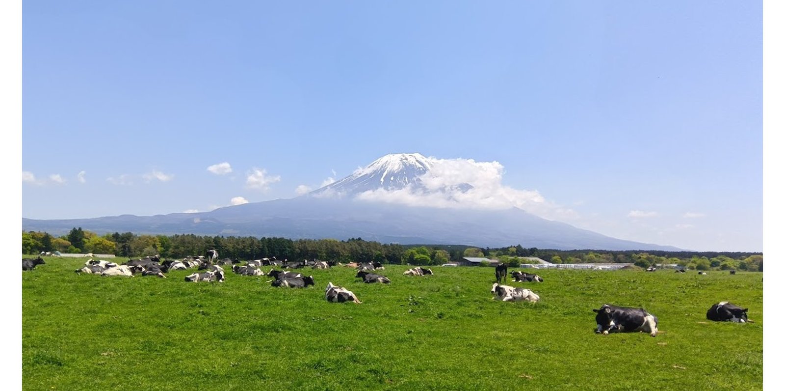 道の駅朝霧高原 富士山展望台