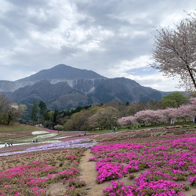 羊山公園