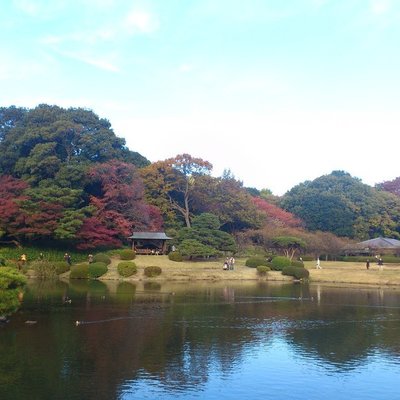 新宿御苑