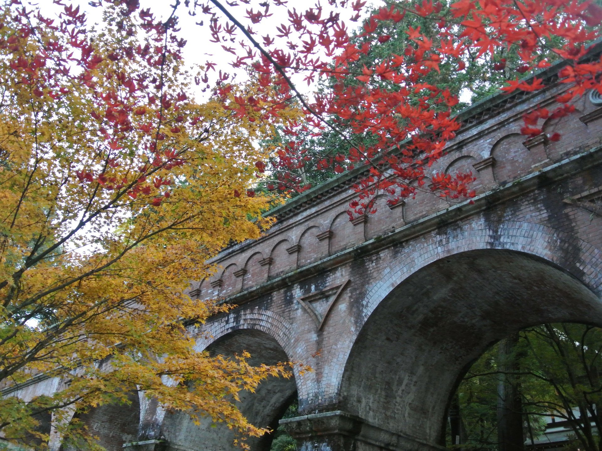 幸福度200％！京都の良い所を全部楽しむ秋の京都おさんぽデート♩