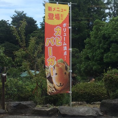 伊豆シャボテン動物公園