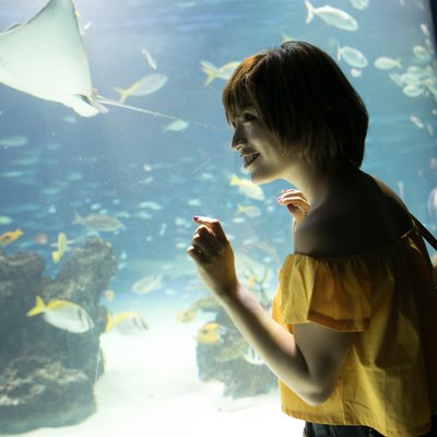 サンシャイン水族館