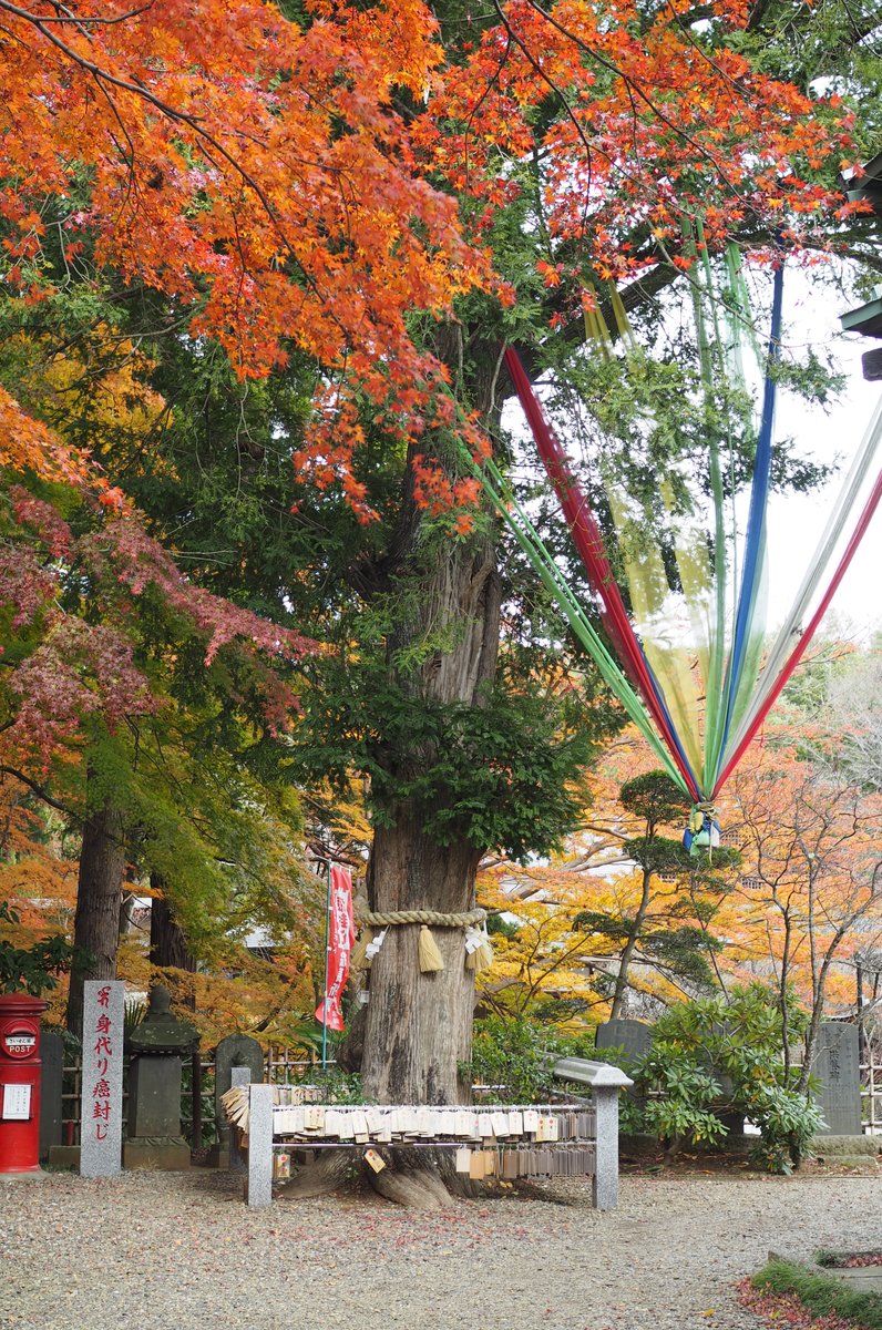 東光院