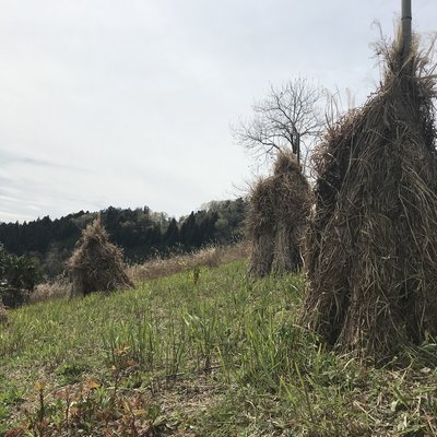 農家レストラン「風和里（ふわり）」