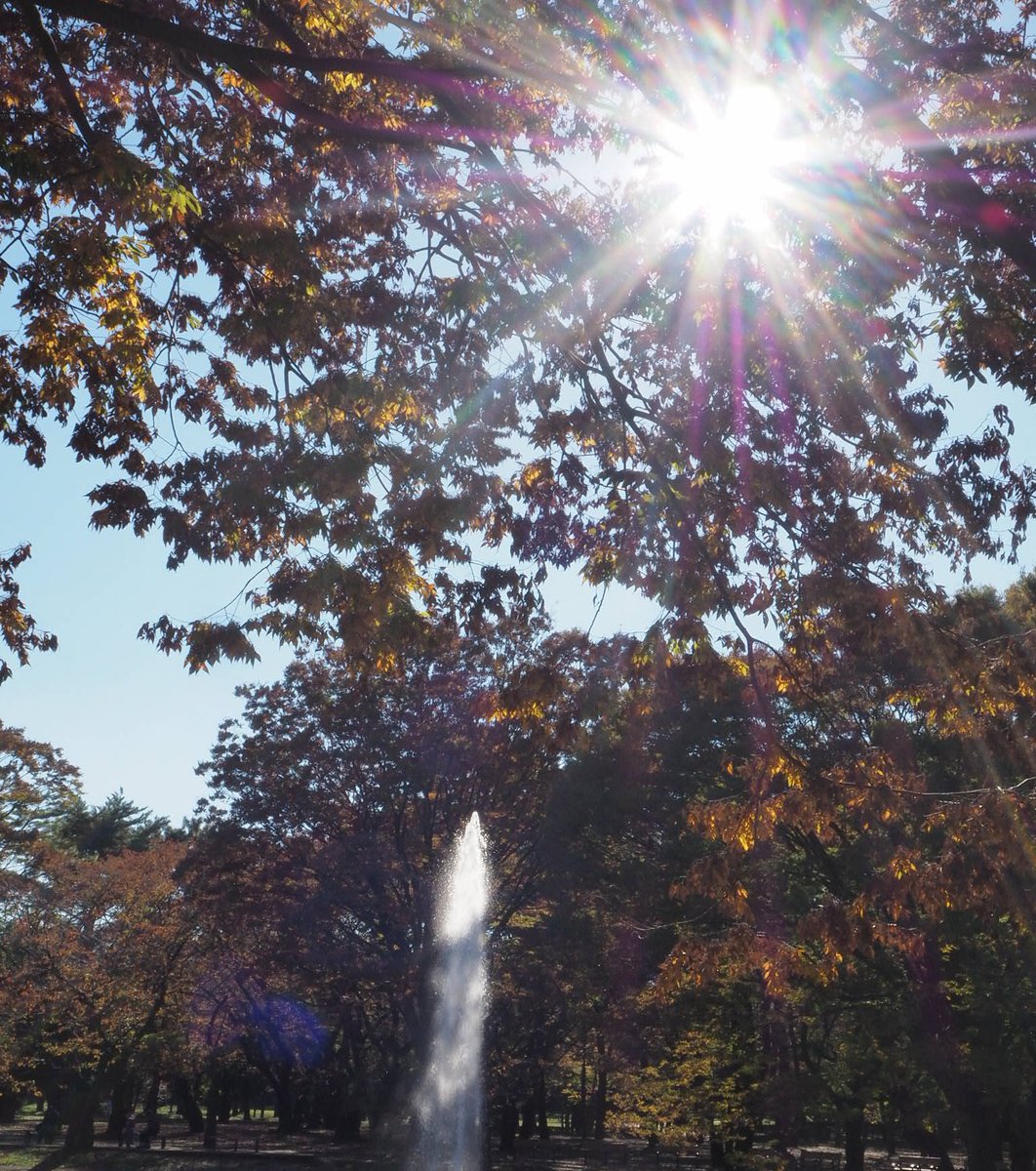 代々木公園