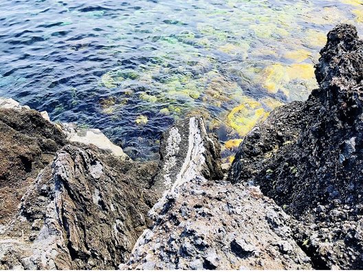 秋の浜遊泳場