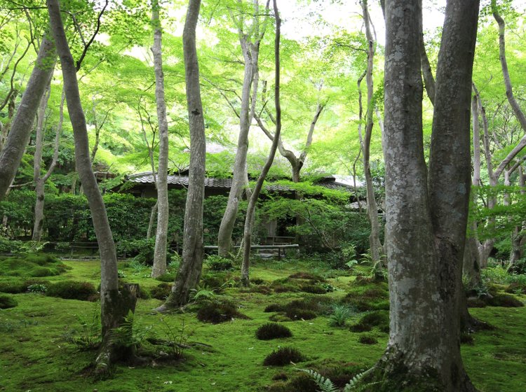 京都 嵐山 日本の美と無常に触れ 湯豆腐を食す 自転車の旅 清凉寺 化野念佛寺 祇王寺 常寂光寺 Playlife プレイライフ