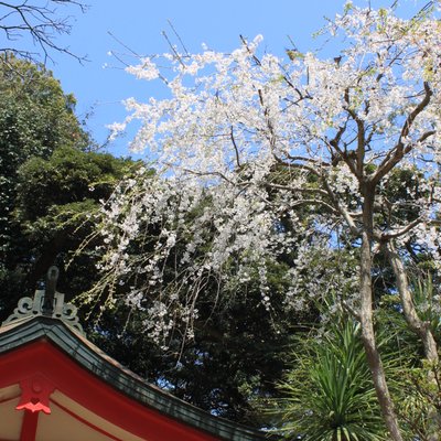 江島神社