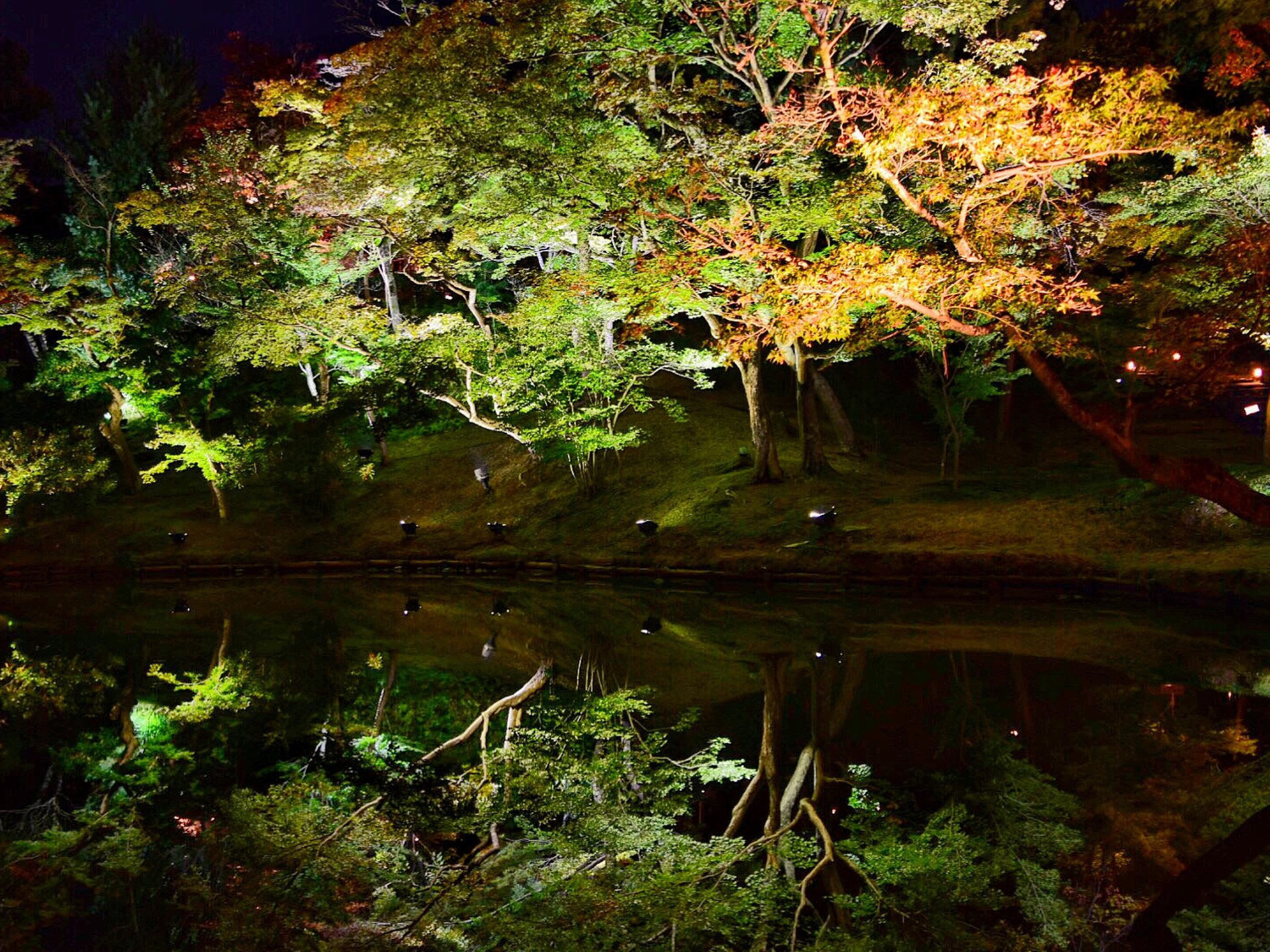 【京都】高台寺＆圓徳院で夜の紅葉とライトアップを楽しむ最強穴場デートプラン！