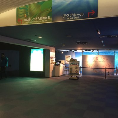 横浜 八景島シーパラダイスアクアミュージアム