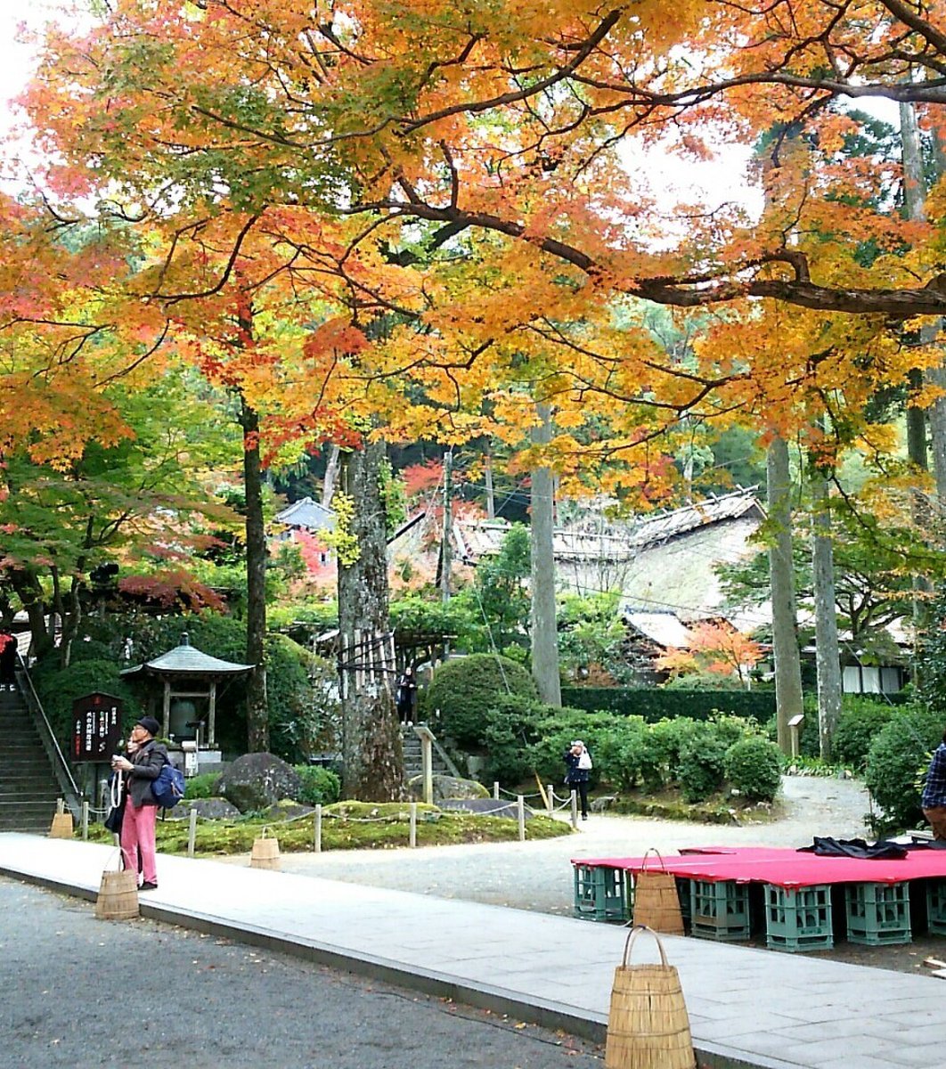 大興善寺契園