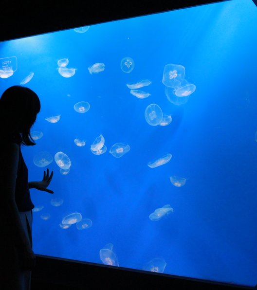 すみだ水族館