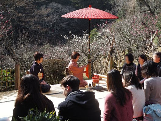 成田山公園内梅林