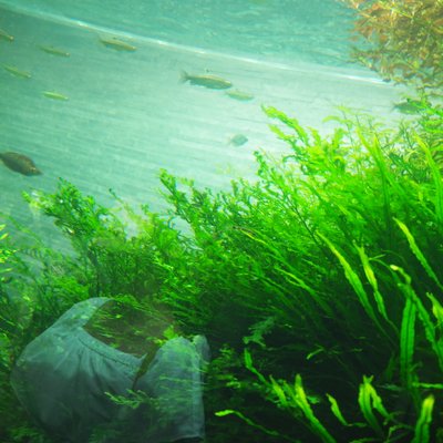 すみだ水族館