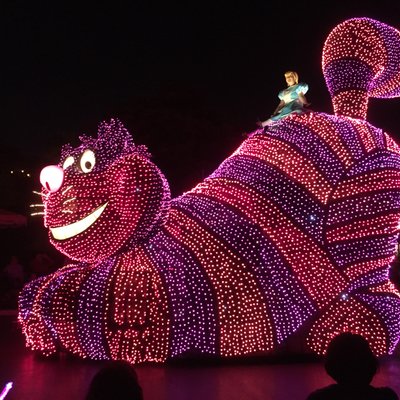 東京ディズニーランド(c)