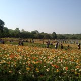 公園デートにおすすめ カップルで行きたい東京の公園10選 Playlife プレイライフ