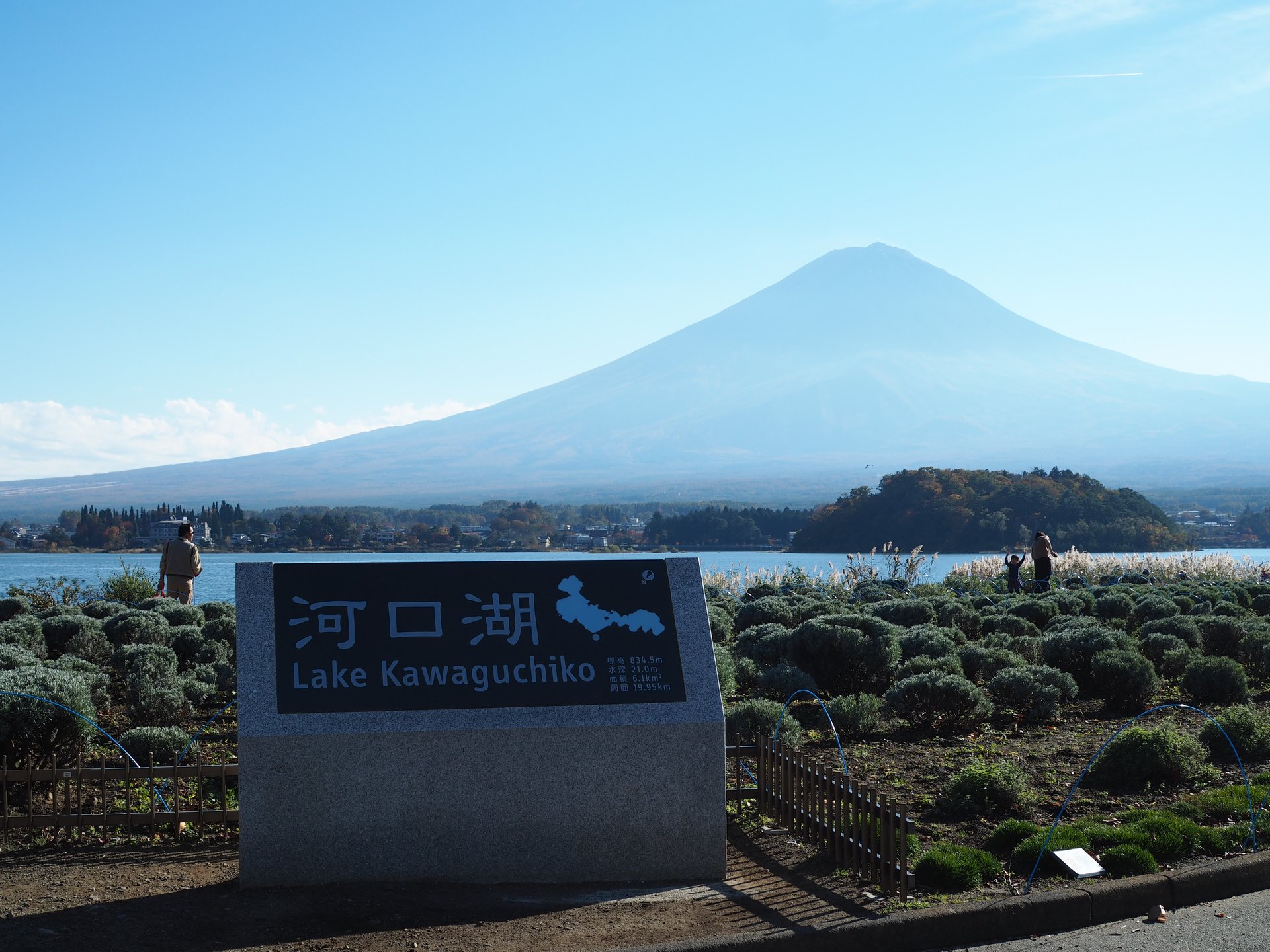 【山梨旅】「大石公園」と言えば”ラベンダー”だけど、秋の富士山&紅葉やススキの景色も美しい！