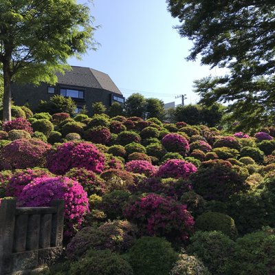 根津神社