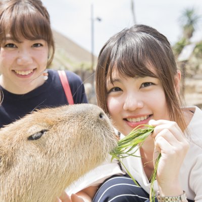 伊豆シャボテン動物公園