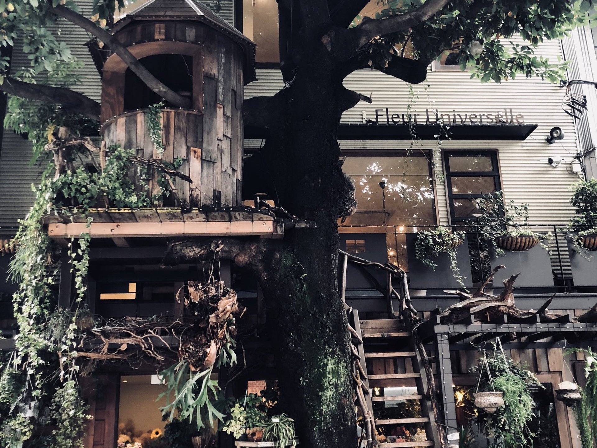 【広尾】まさかの木の上にカフェ!?雰囲気抜群の穴場スポット♪