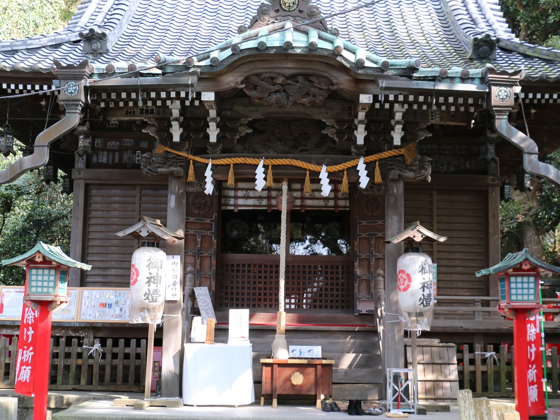 【鎌倉さんぽ】早春の鎌倉をお散歩♪小町通りから八雲神社まで！日蓮ゆかりの場所を巡ります♪