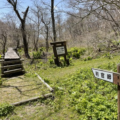 判官館森林公園