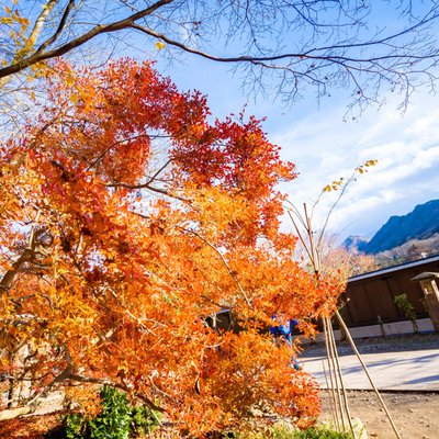 宝珠山立石寺