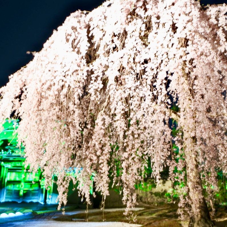 高台寺