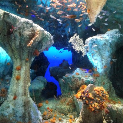 サンシャイン水族館