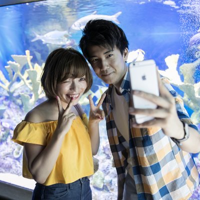 サンシャイン水族館