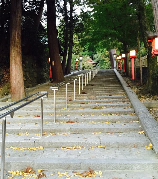 京都で 森見登美彦の小説に載った舞台の地 を巡るプラン 下鴨神社からバー 猫ラーメン Playlife プレイライフ