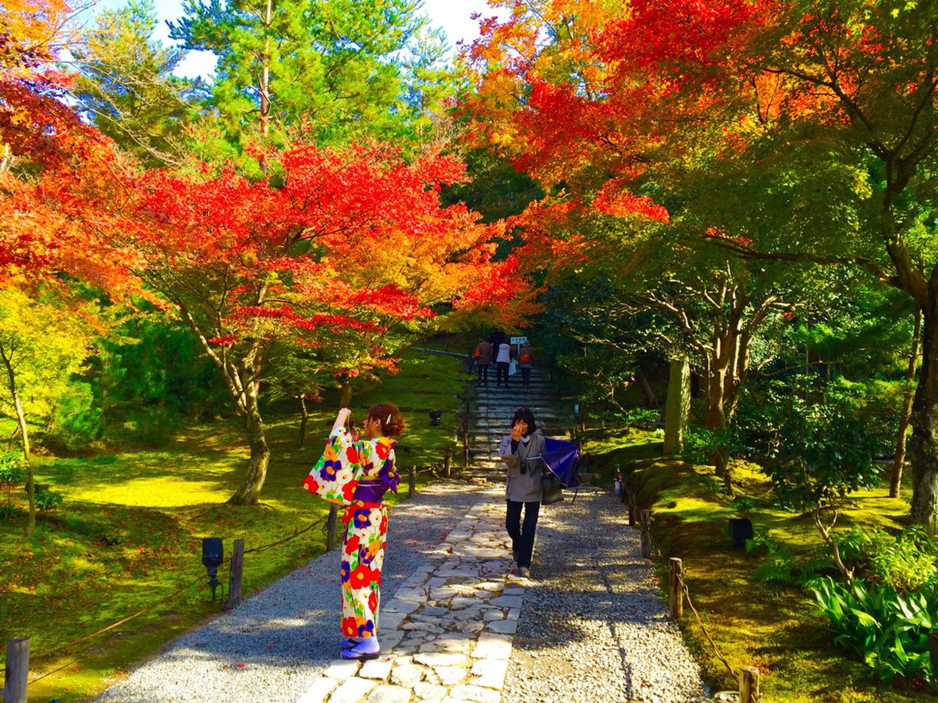 食べ歩きと紅葉をバランスよく楽しむ 食いしん坊な彼女と行く京都旅　