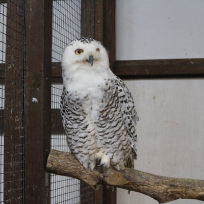 掛川花鳥園