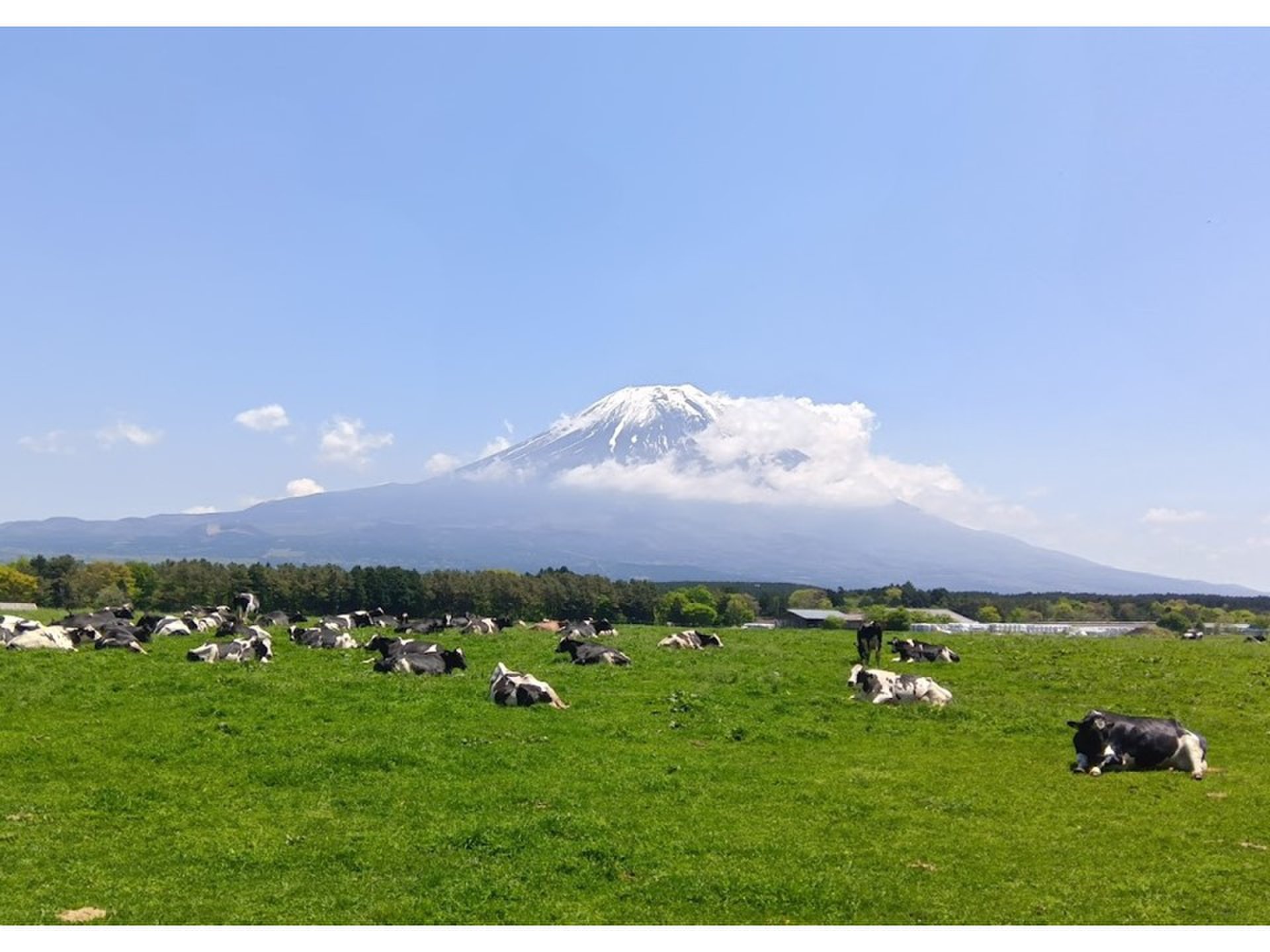 富士山麓をロングドライブデート！絶品ハンバーグも食べちゃおう