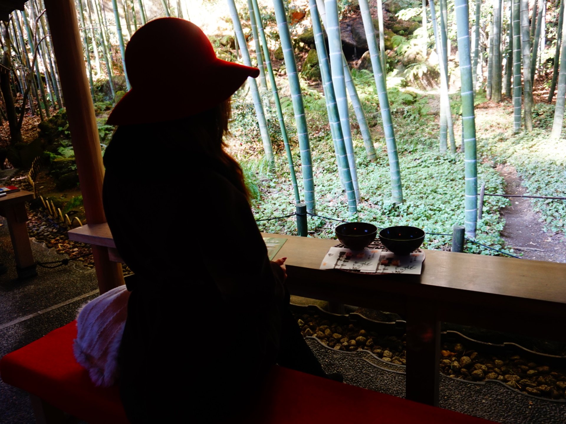 【そうだ、京都行…けない】秋は京都を感じたい。東京都内近郊で京都に来た気分になれるスポット特集！