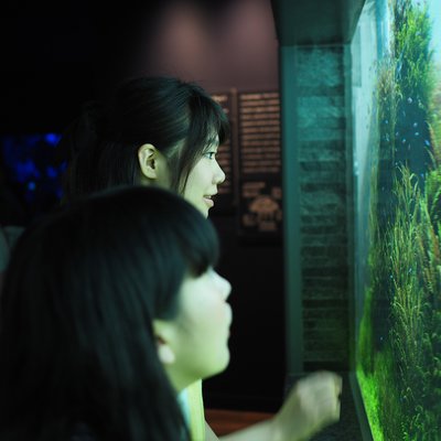 すみだ水族館