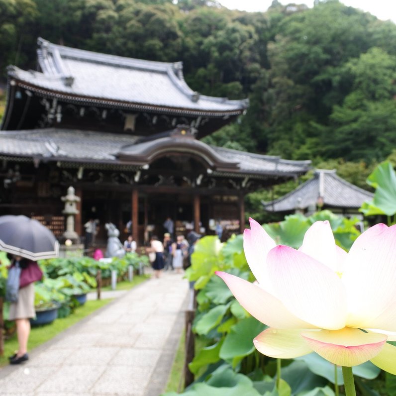 三室戸寺