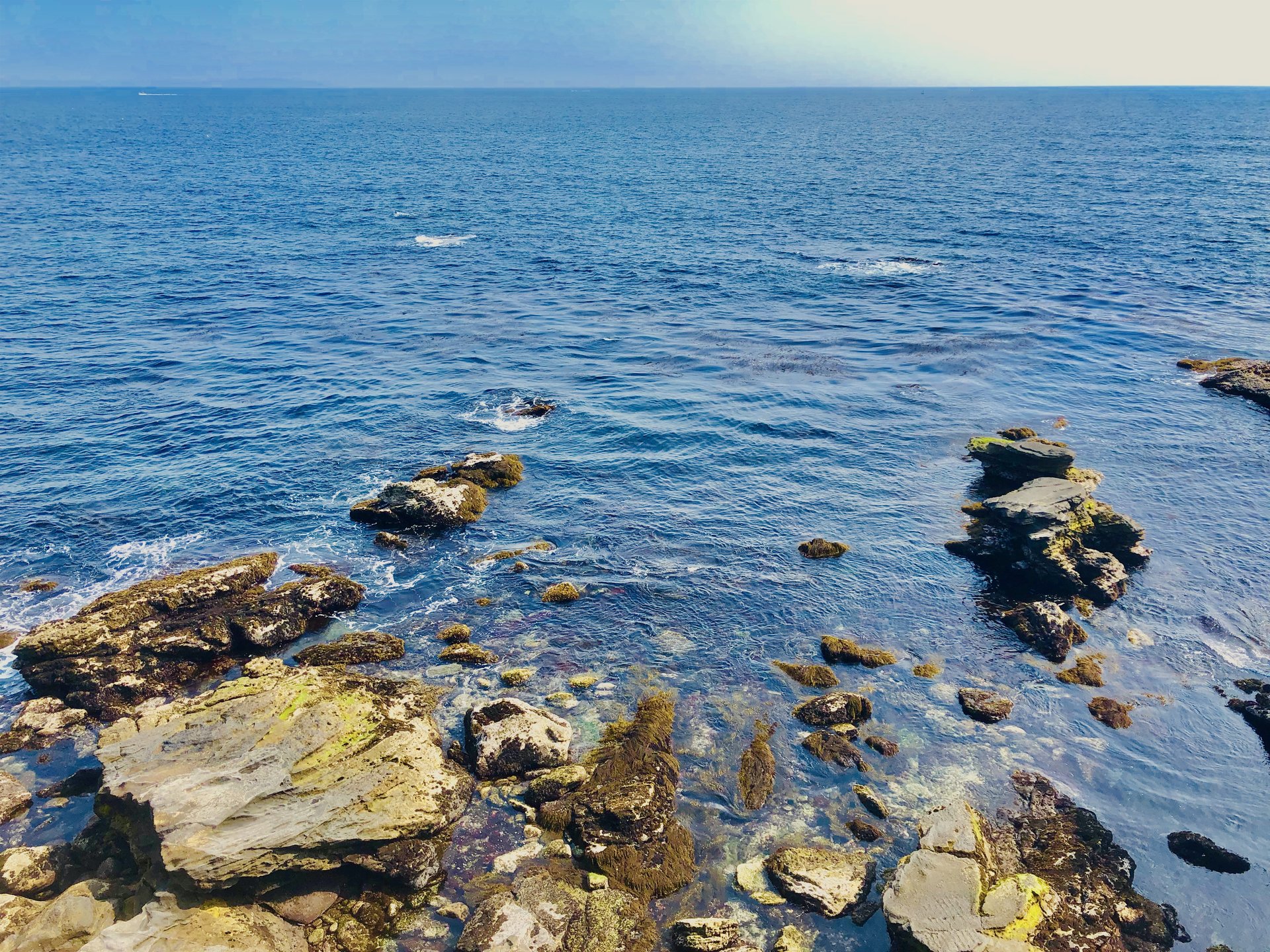 GWは城ヶ島へ！三浦の海を愉しむ日帰り観光のハウツーはズバリ「みさきまぐろきっぷ」を活用すること！