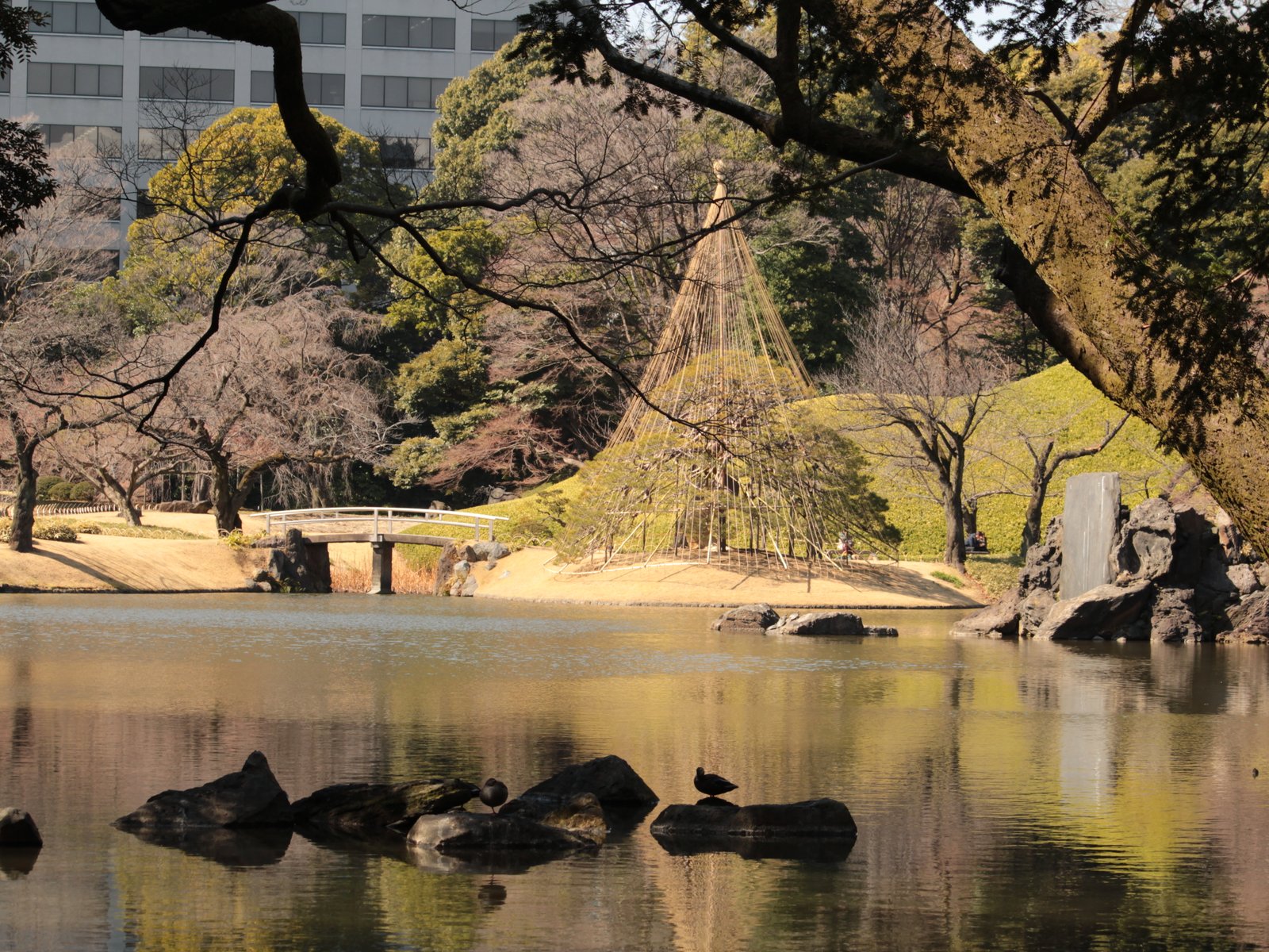 小石川後楽園 竹生島