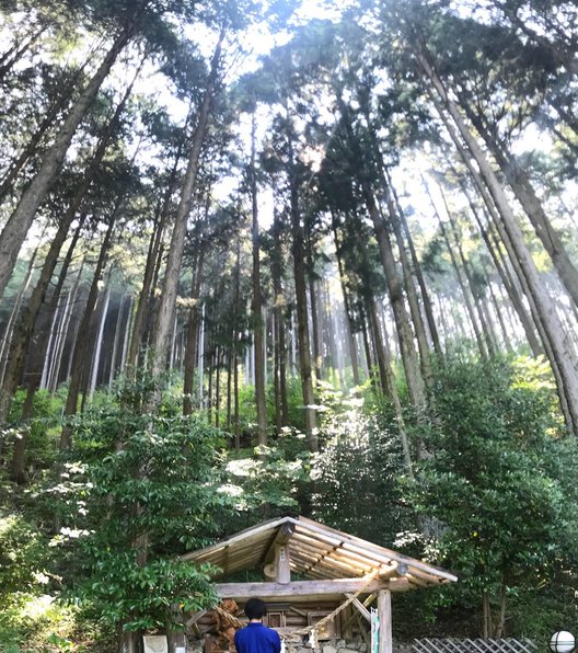 久津八幡宮