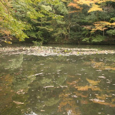 伊勢神宮内宮(皇大神宮)