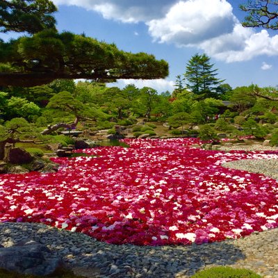 八束町・由志園入口/松江市営バス