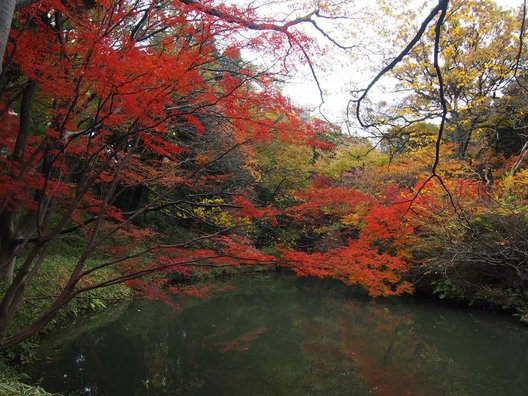 六義園