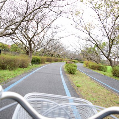 海の中道海浜公園