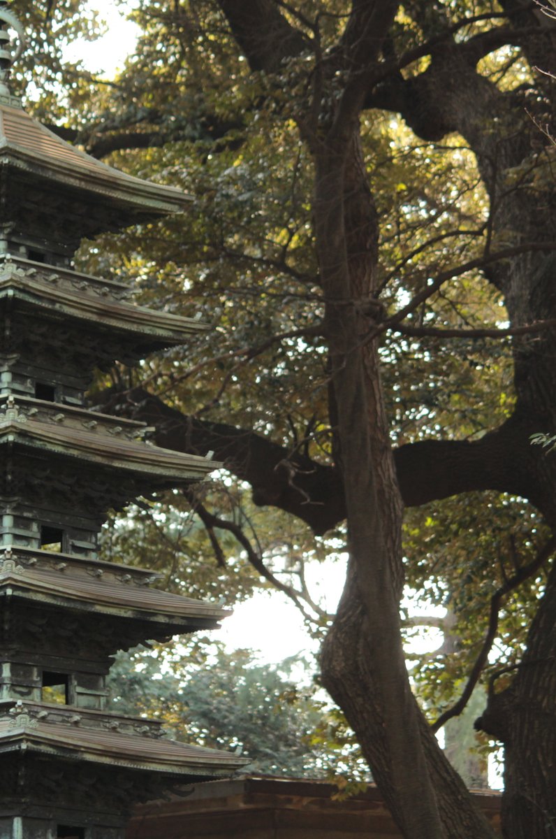 東京国立博物館 庭園