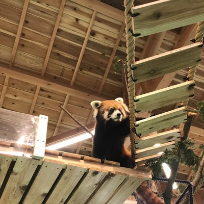 伊豆シャボテン動物公園