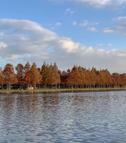 都立水元公園